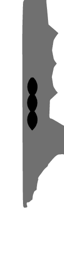 WP_A_1059_m_l.png