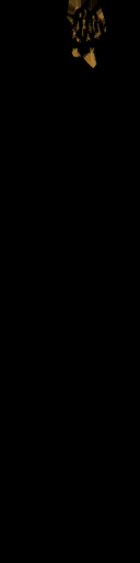 WP_A_1257_em_l.png