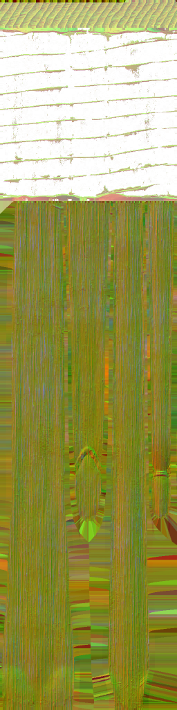 WP_A_1410_n_l.png