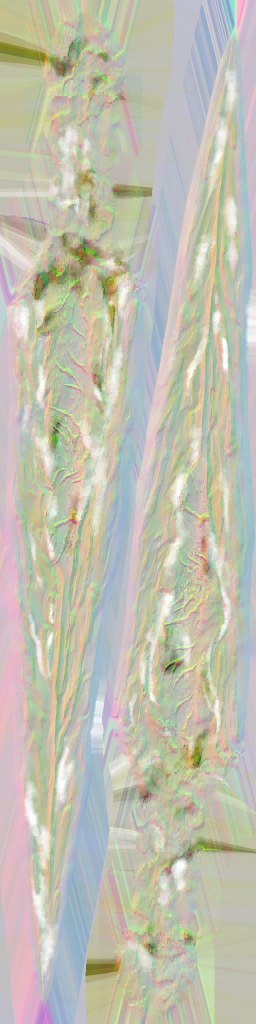 WP_A_1550_n_l.png