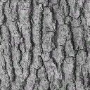 WP_A_2003_bark_a_l.png