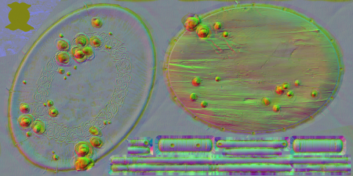 WP_A_2101_n_l.png