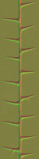 WP_A_2101_thorn_n_l.png