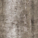 WP_A_2206_bark_a_l.png