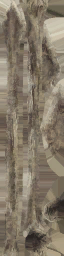 WP_A_7570_a_l.png