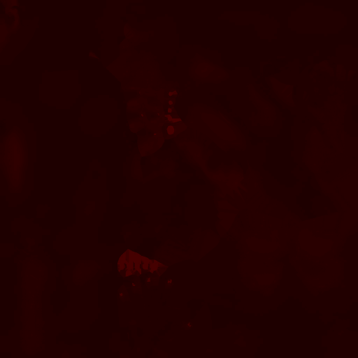 FC_F_0002_3m.png