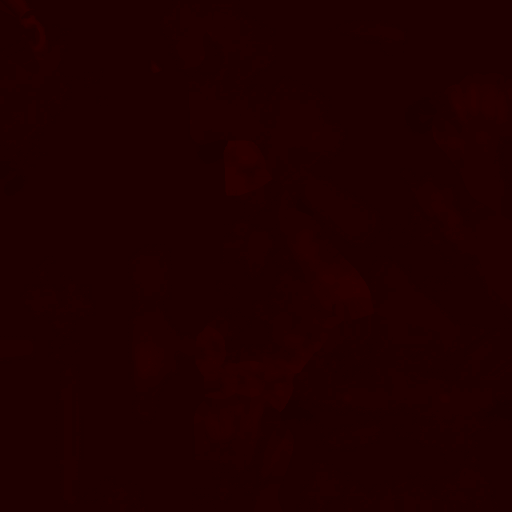 FC_M_0000_3m.png