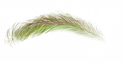 FG_A_2007_n.png