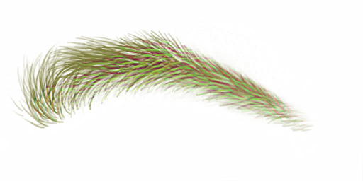 FG_A_2013_n.png