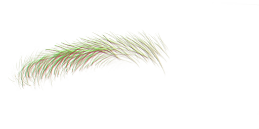 FG_A_2015_n.png