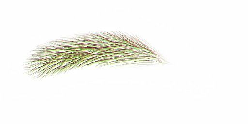 FG_A_2016_n.png