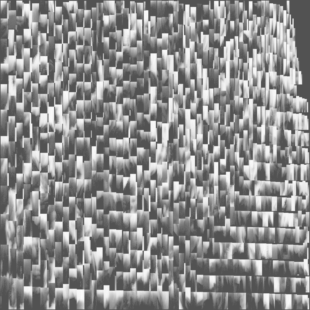 FG_A_3006_shadowmap_1m.png
