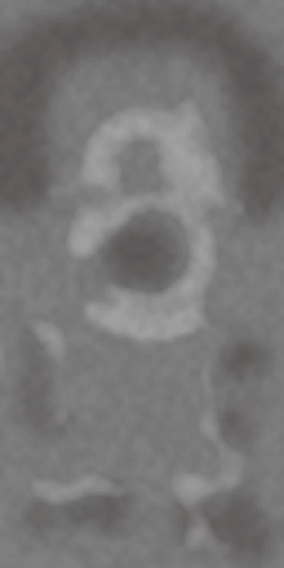 c1181_hairfurcolor_a.png