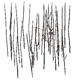 m10_charcoal_roof_thatch_00_a_l.png