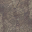 m10_wood_cross_section_01_a_l.png