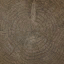 m10_wood_cross_section_03_a_l.png