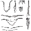 m11_FC_A_0000_common_seam_a_l.png