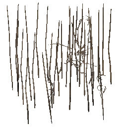 m11_charcoal_roof_thatch_00_a_l.png
