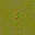 m11_wood_cross_section_01_n_l.png