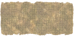 m13_obj_straw_mat_01_a_l.png