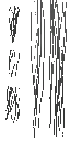 m13_obj_zombie_hair_00_a_l.png