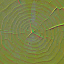 m15_wood_cross_section_03_n_l.png