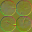 m17_charcoal_cross_section_01_n_l.png