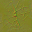 m25_wood_cross_section_01_n_l.png