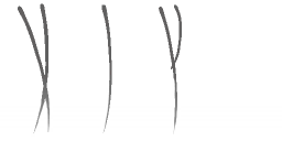AM_M_9100_bodyhair_base_a_l.png