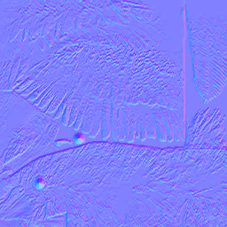 c5040_karasu_n.png