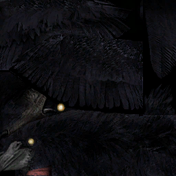 c5040_karasu_s.png