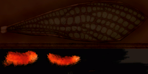 c3132_wing_s.png