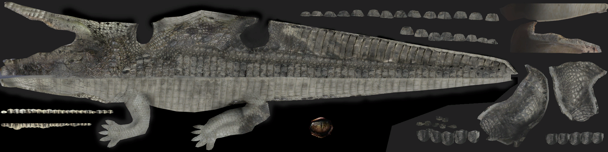 c1040_crocodile.png