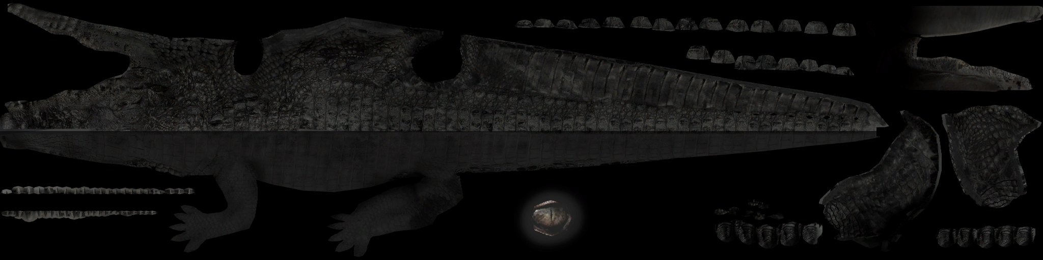 c1040_crocodile_s.png