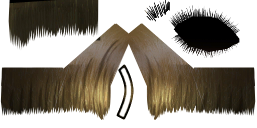 c6040_hair.png