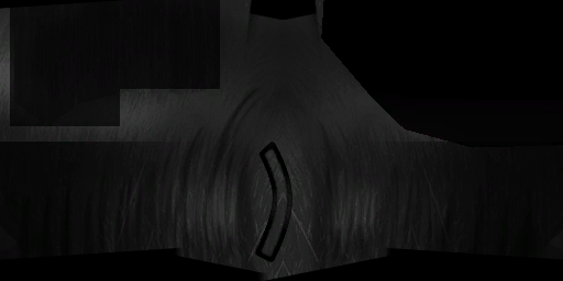 c6040_hair_s.png