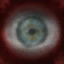 FC_M_eye.png