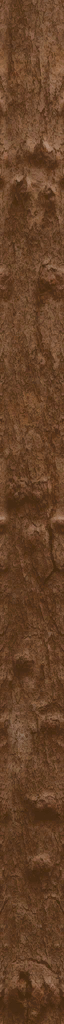 WP_A_0607.png
