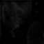WP_A_1503_kiteshield_s.png
