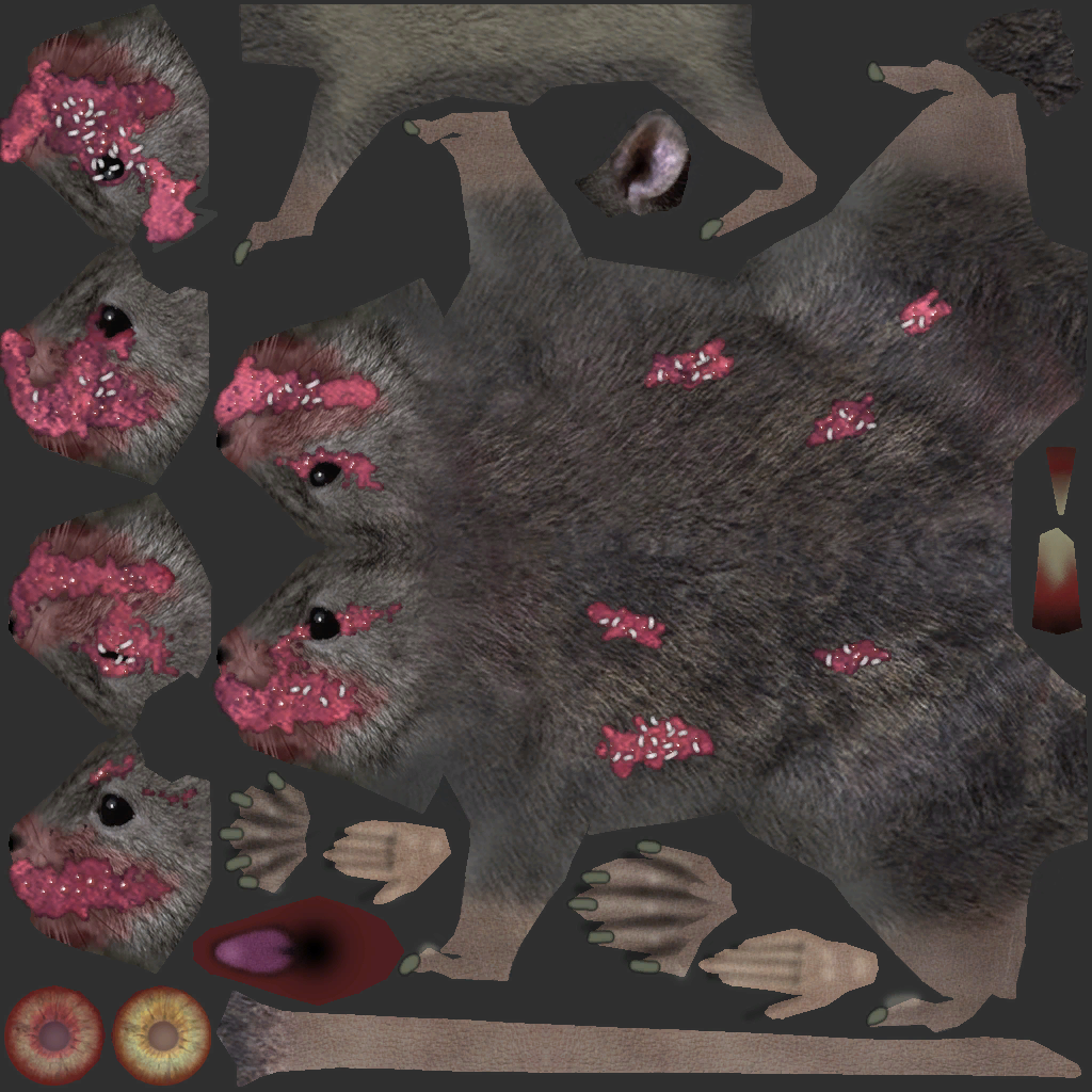 c3060_rat.png