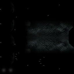 c3060_rat_s.png