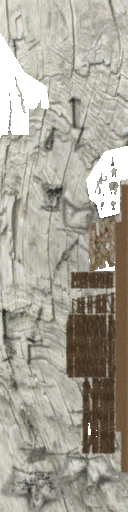 WP_A_1350_L_white_bow.png