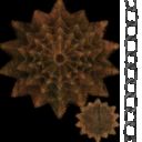 WP_A_0952_L.png