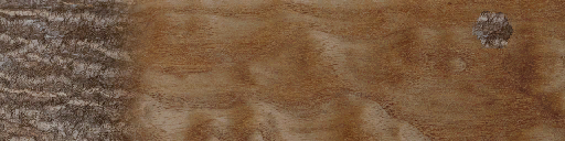 WP_A_0900_rod.png