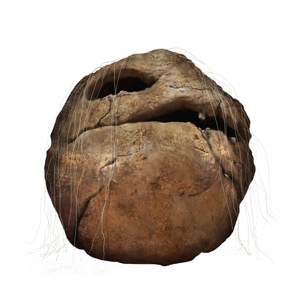 MENU_Knowledge_07066.png