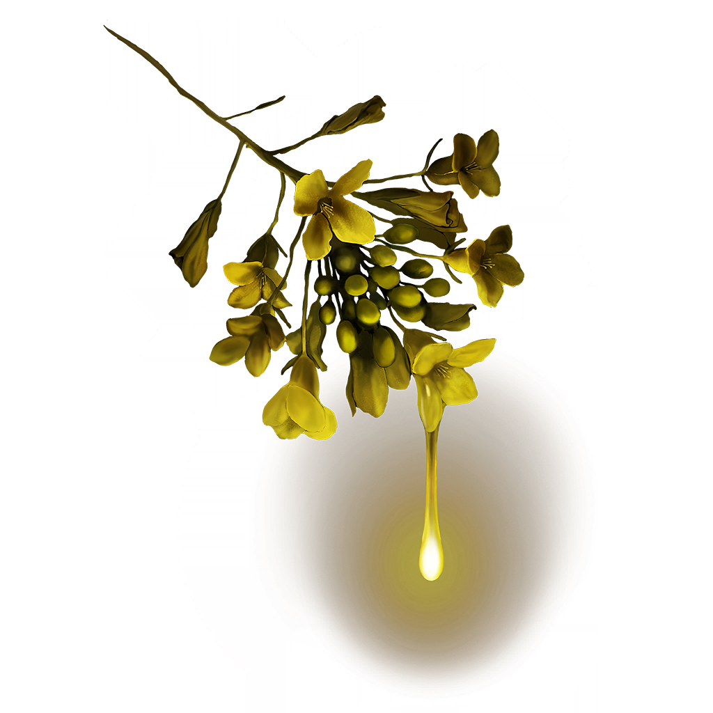 MENU_Knowledge_19155.png