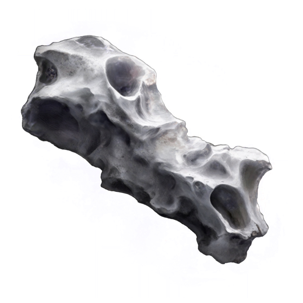 MENU_Knowledge_19166.png