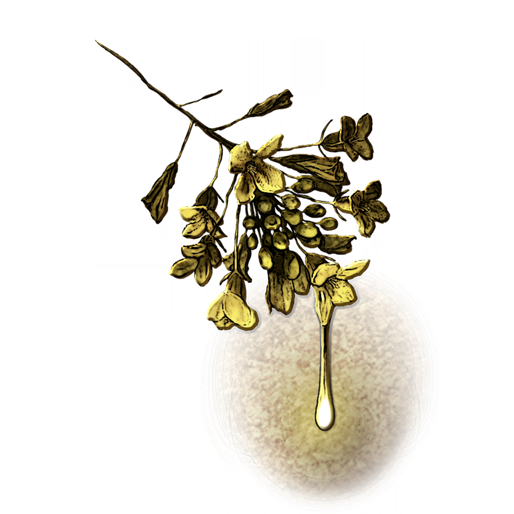 MENU_Knowledge_21852.png