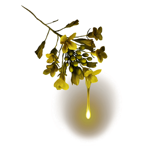 MENU_Knowledge_19155.png